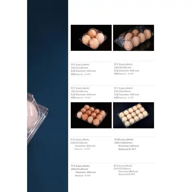 PET Formed Products